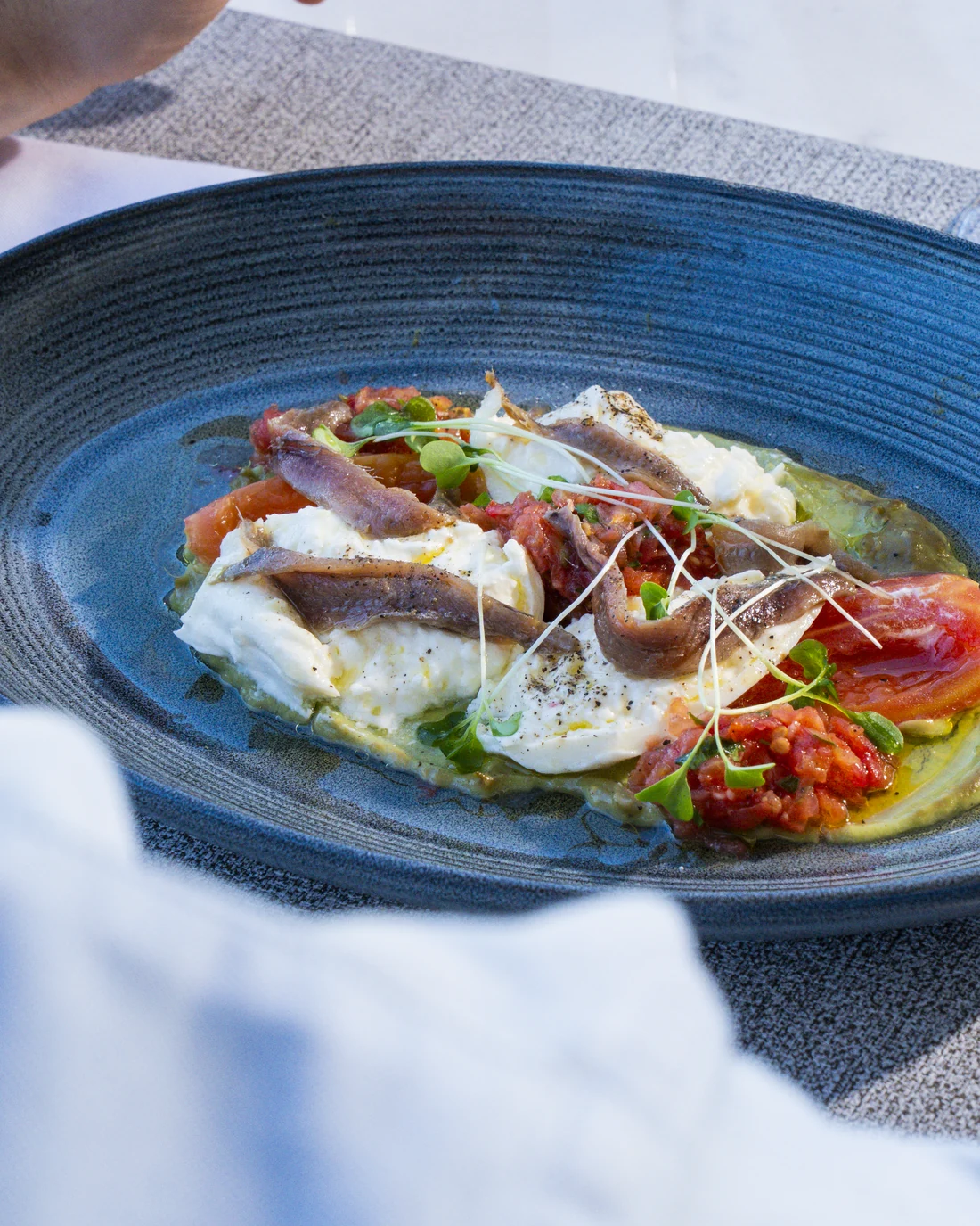 Burrata opened with a spoon, anchovy fillets, confit tomatoes, shoots and basil oil in a blue plate